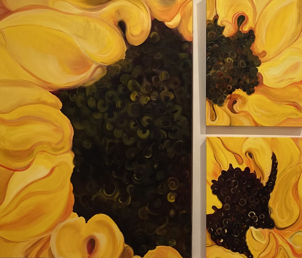 Sunny Series
